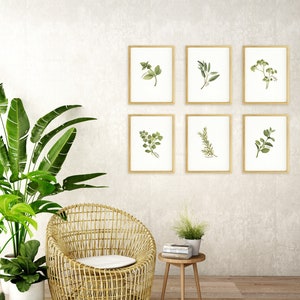 May include: A wicker chair with a white cushion sits in front of a wall with six framed botanical prints of various herbs. A small wooden table with a stack of books and a potted plant sits to the right of the chair.