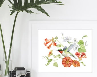 Hummingbird with Zinnia, Trumpet and Morning Glory Flowers Illustration Print - Ruby-Throated Hummingbird Watercolour by Alicia's Infinity