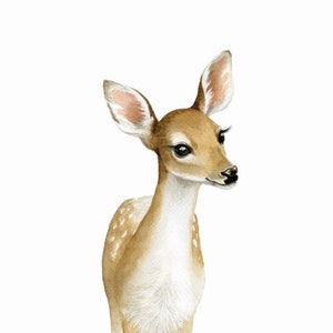 Fawn Illustration Woodland Theme Room Art Doe a Deer Animal Watercolour ...