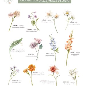 May include: A chart with watercolor illustrations of flowers representing each month of the year. Each flower is labeled with its name and the month it represents. The chart also includes a brief description of the flower's meaning.