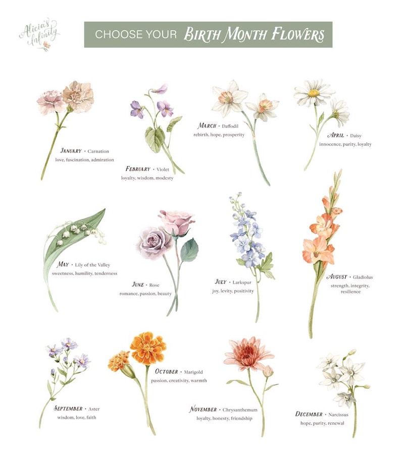 May include: A chart with watercolor illustrations of flowers representing each month of the year. Each flower is labeled with its name and the month it represents. The chart also includes a brief description of the flower's meaning.