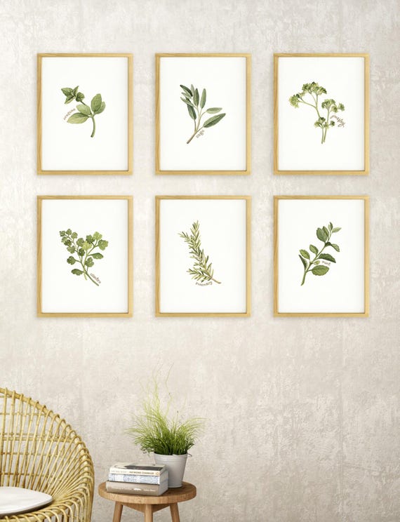 Individual Herb Watercolour Illustrations - Kitchen Artwork by Alicia's Infinity - 8x10 or 11x14 inches