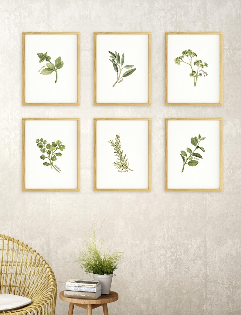 Individual Herb Watercolour Illustrations - Kitchen Artwork by Alicia's Infinity - 8x10 or 11x14 inches image 1