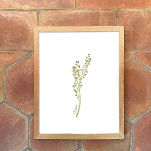 Individual Herb Watercolour Illustrations - Kitchen Artwork by Alicia's Infinity - 8x10 or 11x14 inches image 9