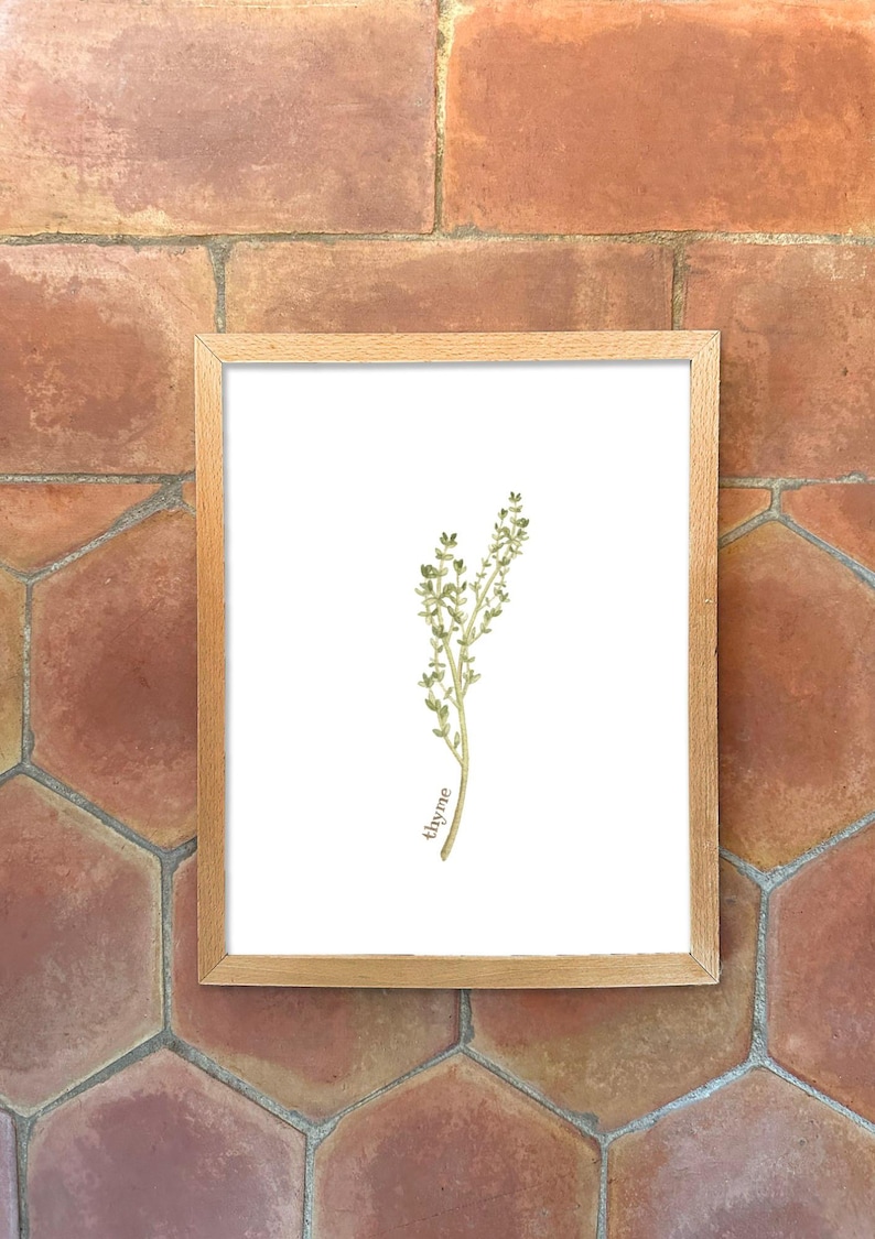 Individual Herb Watercolour Illustrations - Kitchen Artwork by Alicia's Infinity - 8x10 or 11x14 inches image 9