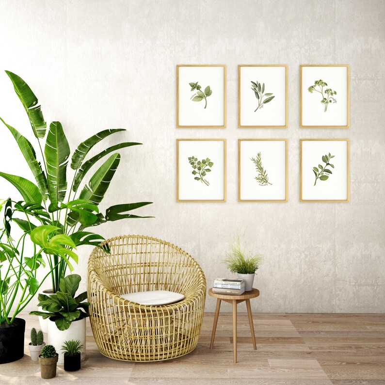 May include: A wicker chair with a white cushion sits in front of a wall with six framed botanical prints of various herbs. A small wooden table with a stack of books and a potted plant sits to the right of the chair.