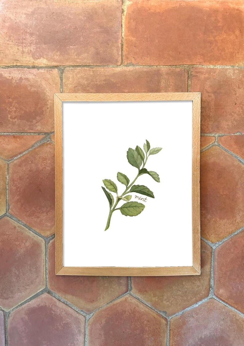 Individual Herb Watercolour Illustrations - Kitchen Artwork by Alicia's Infinity - 8x10 or 11x14 inches image 4