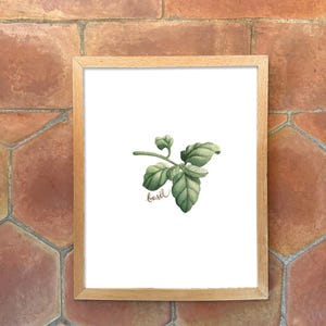 Individual Herb Watercolour Illustrations - Kitchen Artwork by Alicia's Infinity - 8x10 or 11x14 inches image 8