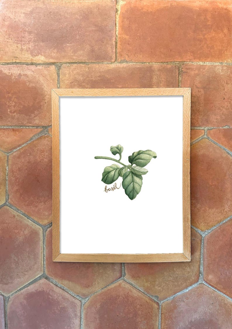 Individual Herb Watercolour Illustrations - Kitchen Artwork by Alicia's Infinity - 8x10 or 11x14 inches image 8