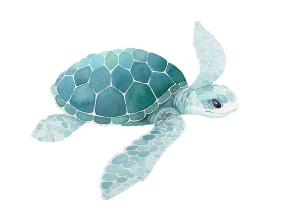 Teal Sea Turtle Watercolour Painting Print Illustration Art ...