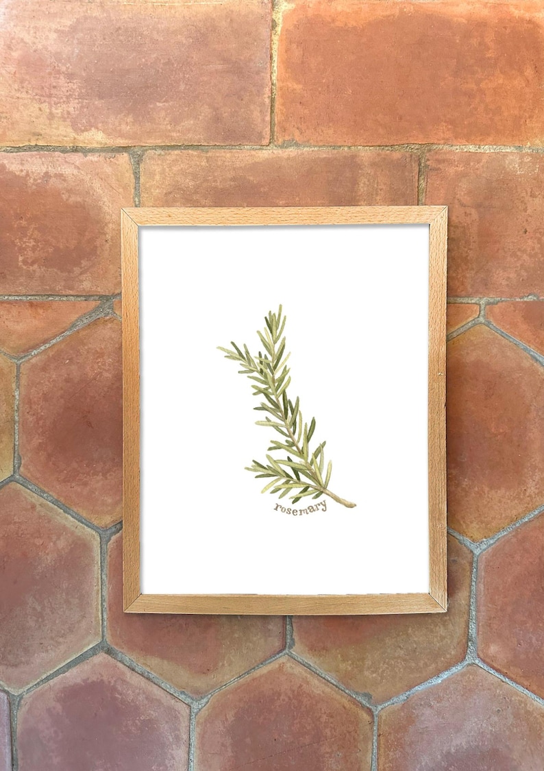 Individual Herb Watercolour Illustrations - Kitchen Artwork by Alicia's Infinity - 8x10 or 11x14 inches image 7