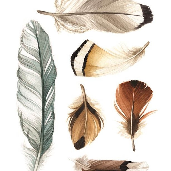 6 Collected Federn "B" (braune Erdtöne) Aquarell Druck - Feder Illustration - ""Collection Feathers"" von Alicia's Infinity."