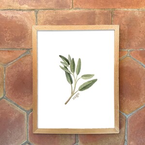 Individual Herb Watercolour Illustrations - Kitchen Artwork by Alicia's Infinity - 8x10 or 11x14 inches image 2