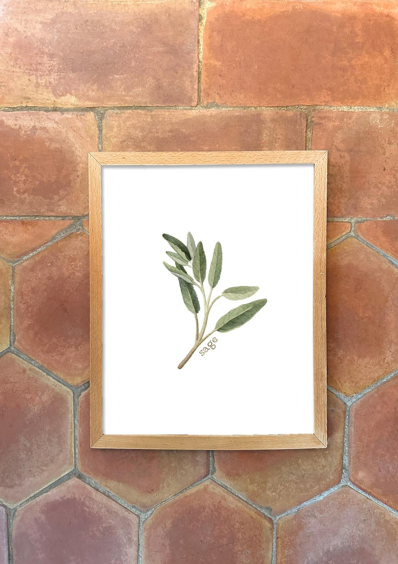 Individual Herb Watercolour Illustrations - Kitchen Artwork by Alicia's Infinity - 8x10 or 11x14 inches image 2