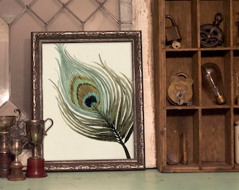 Peacock Feather Watercolour Painting Print - Peacock Wall Decor - "Peacock Solo" by Alicia's Infinity