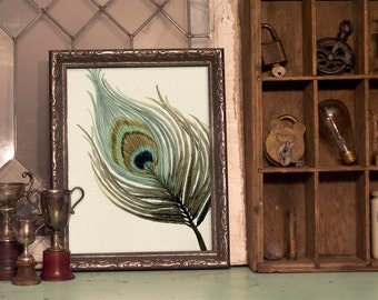 Peacock Feather Watercolour Print, Botanical Wall Art, Nature Inspired Decor