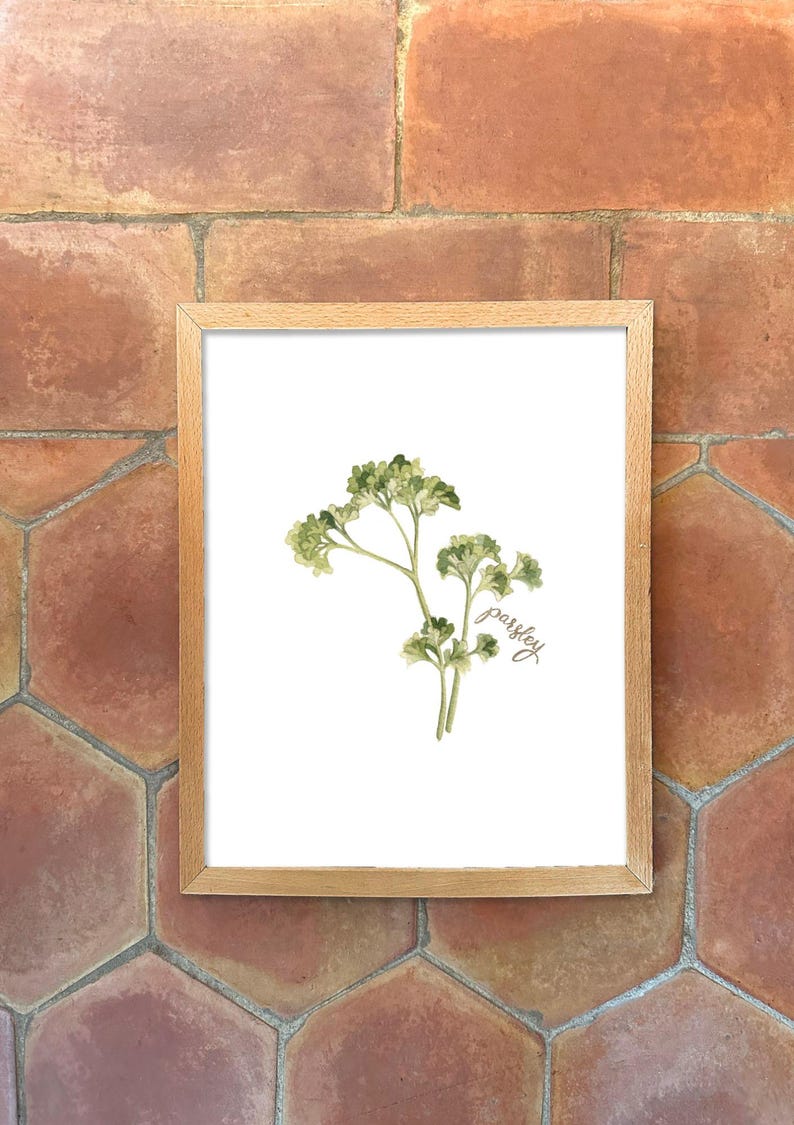 Individual Herb Watercolour Illustrations - Kitchen Artwork by Alicia's Infinity - 8x10 or 11x14 inches image 6