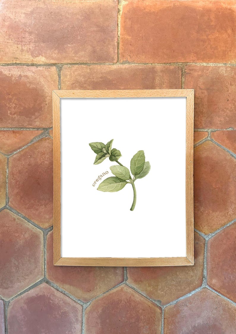 Individual Herb Watercolour Illustrations - Kitchen Artwork by Alicia's Infinity - 8x10 or 11x14 inches image 5