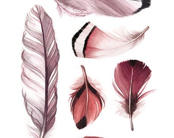 6 Collected Feathers "B" (blush tones) Watercolour Print - Feather Illustration - "Collected Feathers" by Alicia's Infinity