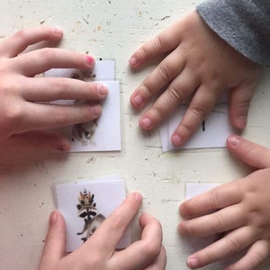 Op de afbeelding: Vier witte kaarten met illustraties van dieren op een wit oppervlak. De kaarten worden vastgehouden door handen. E&eacute;n kaart toont een wasbeer met een kroon.