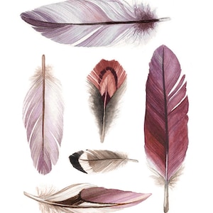 6 Collected Feathers &quot;A&quot; (mauve tones) Watercolour Print - Feather Illustration - &quot;Collected Feathers&quot; by Alicia&#39;s Infinity