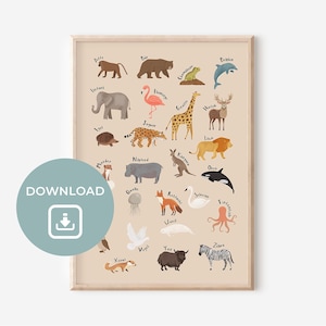 Tier Alfabeto Kinder Digital Download | Alfabeto Foto | Aprenda ABC | camada pôster | Kinderzimmer-Pôster | Decoração de varinha | Geschenk