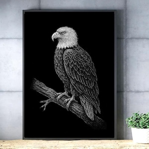 May include: Framed monochrome print featuring a detailed illustration of a bald eagle. The eagle, with its distinctive white head and dark body, is perched on a branch against a black backdrop. The artwork is displayed in a black frame.