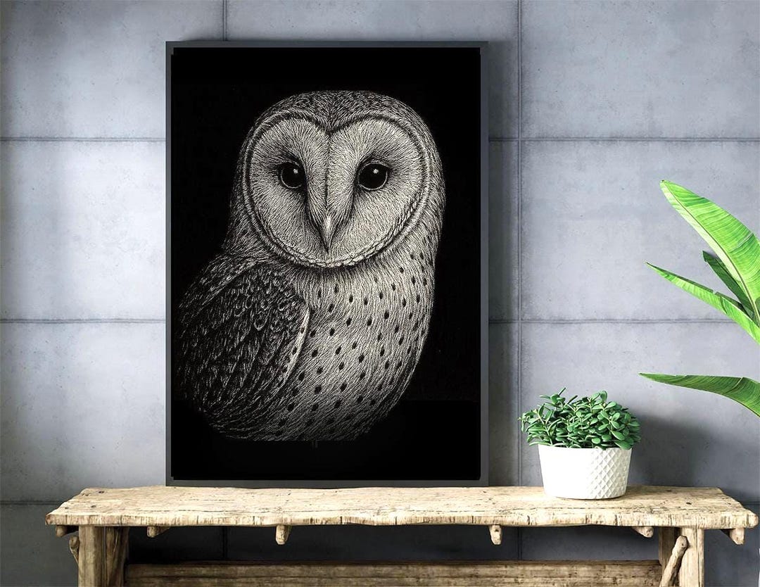 Barn Owl Wall Art Printable | Black and White Bird Print | Wildlife ...