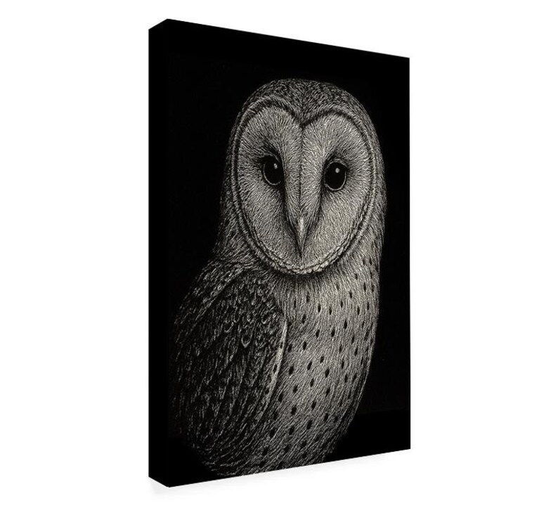 Barn Owl Wall Art Printable | Black and White Bird Print | Wildlife ...