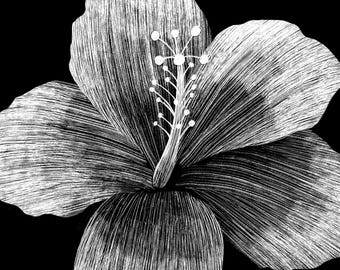 モノクロ原画 花❁❀✿✾ il_340x270.7080257947_s6b5.jpg