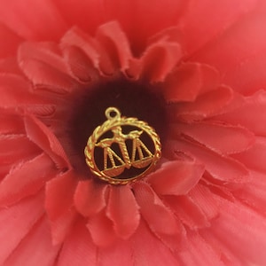 Può includere: Un ciondolo dorato raffigurante la bilancia della giustizia, posto su un fiore rosso vibrante. Il ciondolo presenta un design dettagliato con un bordo intrecciato. I petali del fiore creano uno sfondo morbido e strutturato, esaltando il ciondolo.