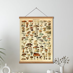 Impressão em tela de gráfico de cogumelo de Adolphe Millot com molduras de cabide, decoração de parede de cozinha, decoração de parede vintage, arte botânica de parede, tela emoldurada