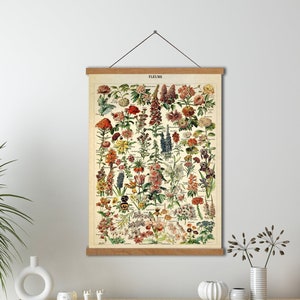 Adolphe Millot's bloemenkaart canvasafdruk met hanger ingelijst, keuken muurdecoratie, vintage muurdecoratie, botanische muurkunst, ingelijst canvas