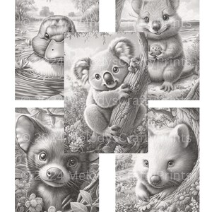 May include: Black and white illustrations of Australian animals, including a duck, koala, quokka, Tasmanian devil, and wombat. Each animal is depicted in a natural setting with detailed shading and soft textures. The artwork is signed "MelodysCraftyPrints".