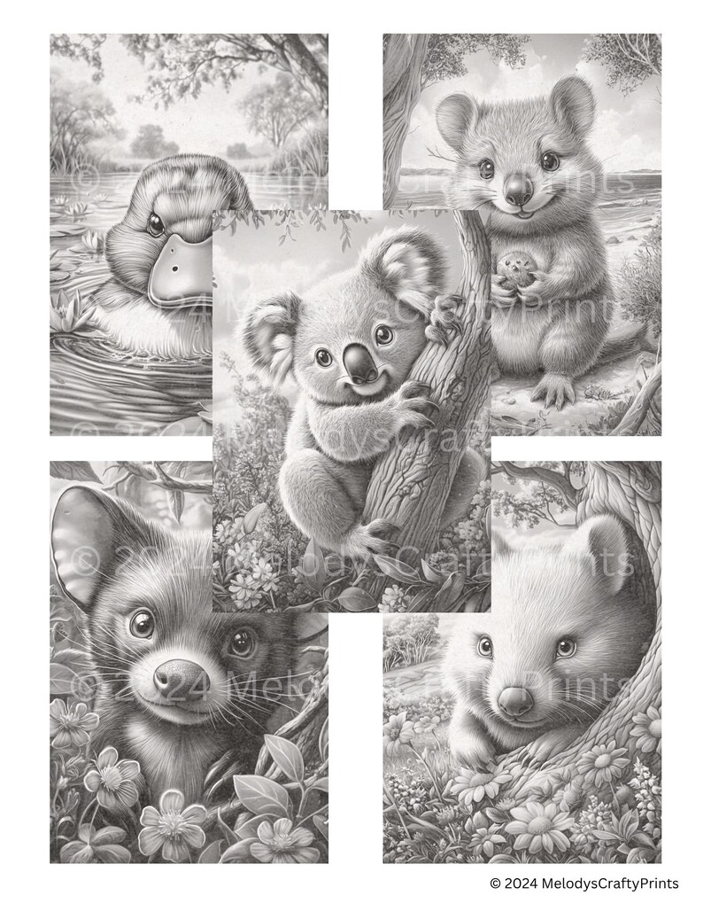 May include: Black and white illustrations of Australian animals, including a duck, koala, quokka, Tasmanian devil, and wombat. Each animal is depicted in a natural setting with detailed shading and soft textures. The artwork is signed "MelodysCraftyPrints".