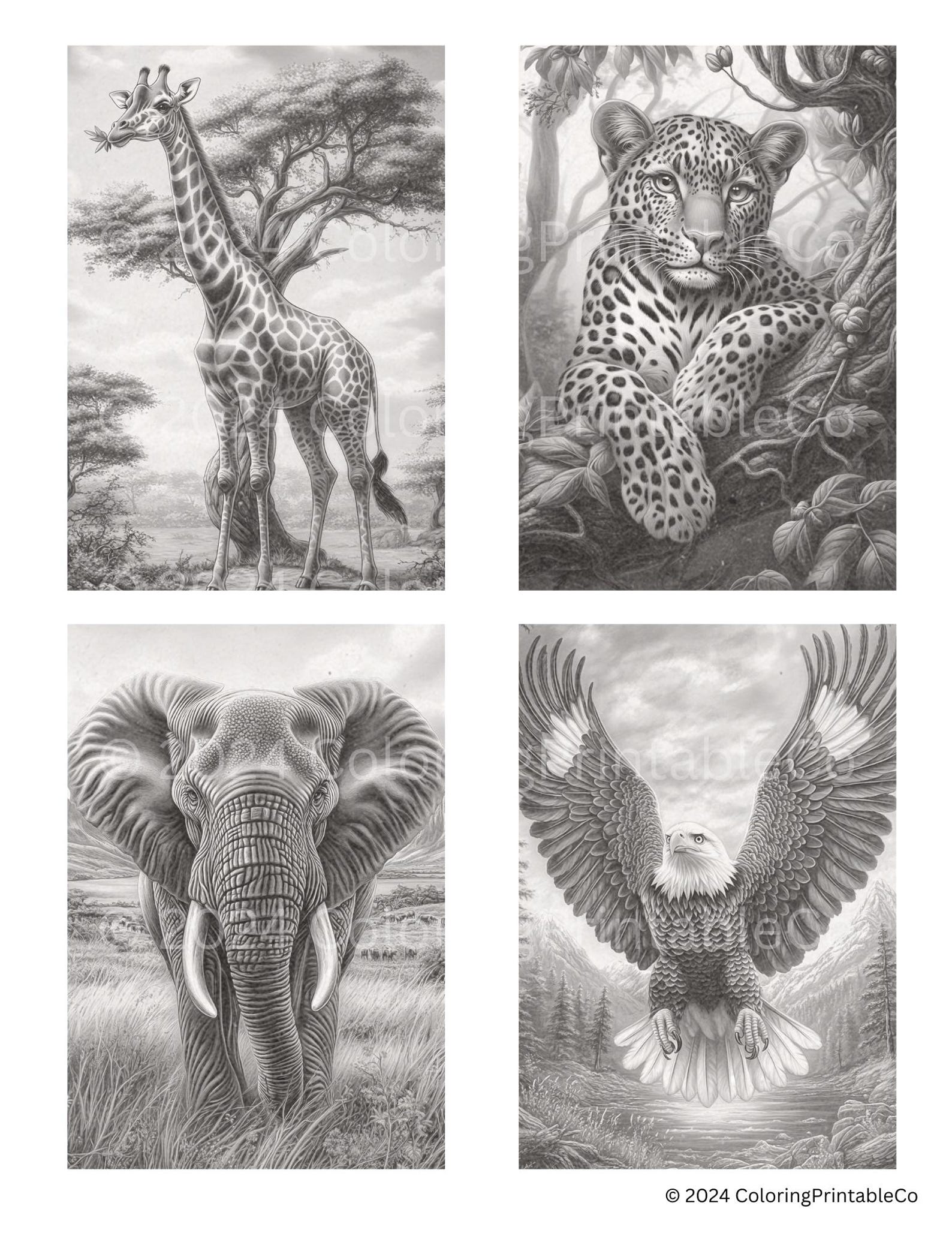 Wild Animals Grayscale Coloring Pages for Adults - Safari, Jungle ...