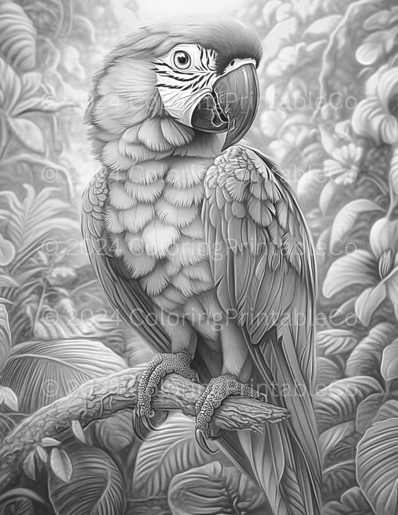 Wild Animals Grayscale Coloring Pages for Adults - Safari, Jungle ...