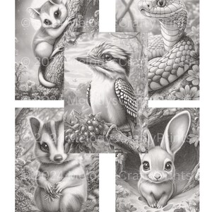 May include: A grayscale print featuring detailed illustrations of various animals. The images include a possum on a tree, a snake, a kookaburra, a small mammal holding leaves, and a rabbit in a burrow. The text "&copy; 2024 MelodysCraftyPrints" is visible.