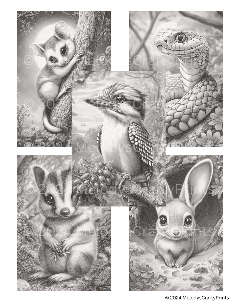May include: A grayscale print featuring detailed illustrations of various animals. The images include a possum on a tree, a snake, a kookaburra, a small mammal holding leaves, and a rabbit in a burrow. The text "&copy; 2024 MelodysCraftyPrints" is visible.