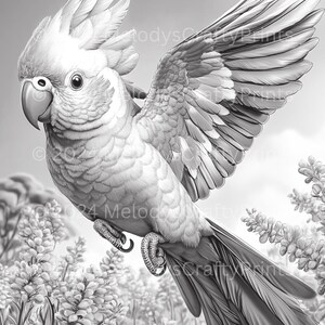 May include: A grayscale illustration of a cockatoo with its wings spread, perched among flowering plants. The bird has a prominent crest and detailed feathering. The image includes the text "&copy; 2024 Melody's Crafty Prints."