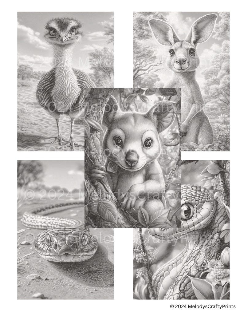 May include: Black and white pencil drawing of Australian animals, including an emu, kangaroo, koala, and snake. The image also includes the text "&copy; 2024 MelodysCraftyPrints".
