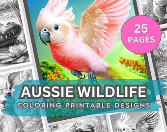 Australian Wildlife Coloring Pages: Koala, Kangaroo, and More (PDF Download)