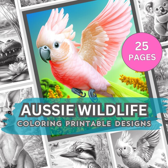 Australian Wildlife Coloring Pages: Koala, Kangaroo, and More (PDF Download)