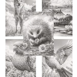 May include: A grayscale collage featuring detailed pencil drawings of wildlife. The images include a coyote, an alligator, a hedgehog, and two parrots. The artwork is set against a backdrop of natural environments, with floral and foliage elements.
