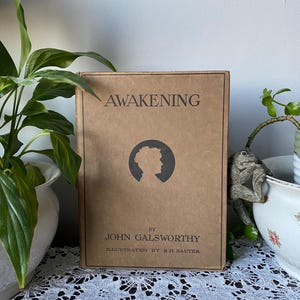 Awakening by John Galsworthy 1920s Antique Vintage Hardback Decorative Book Forsyte Saga Illustrated Children&#39;s Literature