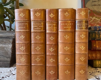 RARES oeuvres des soeurs Bronte 5 Vol 1893 illustré vintage victorien antique décoratif cartonné livres littérature Wuthering Heights