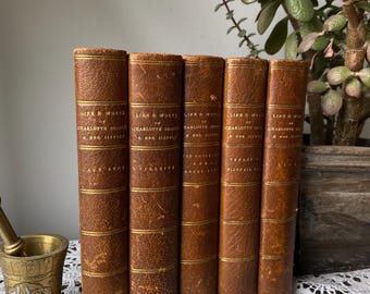 Vida y obra temprana de Charlotte Brontë y sus hermanas, 5 volúmenes, década de 1870, libros antiguos de tapa dura decorativos victorianos, literatura Jane Eyre