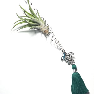 Turtle Air Plant Hanger, Handmade Wire Wrapped Hanging Tillandsia Holder