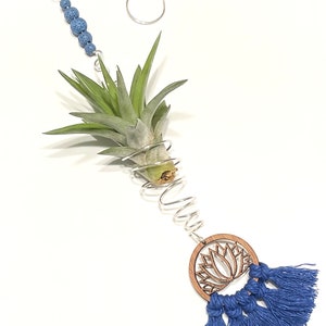 Hanging Air Plant Holder Wire Wrapped Lotus Flower Decor Blue