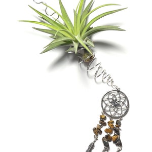 Air Plant Hanger, Hanging Dreamcatcher Tillandsia Wire Wrapped Holder with Tigers Eye Beads image 1